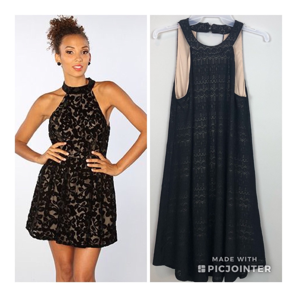 Women Alya Francesca’s Floral Lace Black Dress